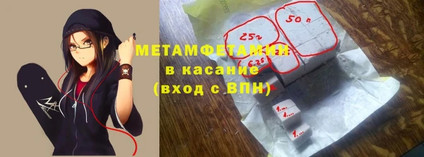 гидра Каменка
