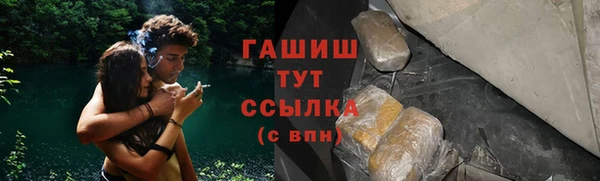 прущие грибы Касимов