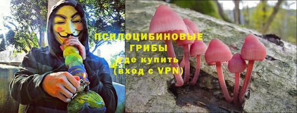 прущие грибы Касимов