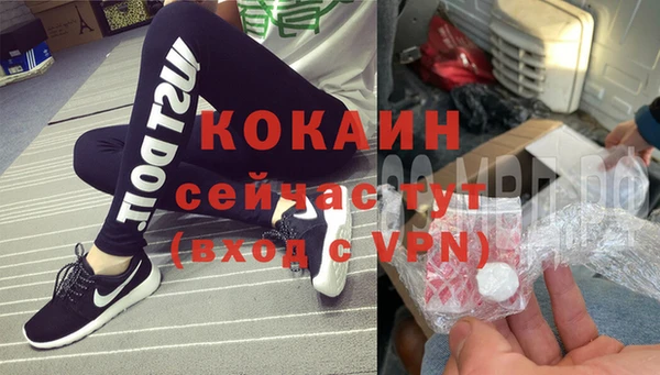 гидра Каменка