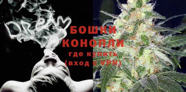 гидропоника Карпинск