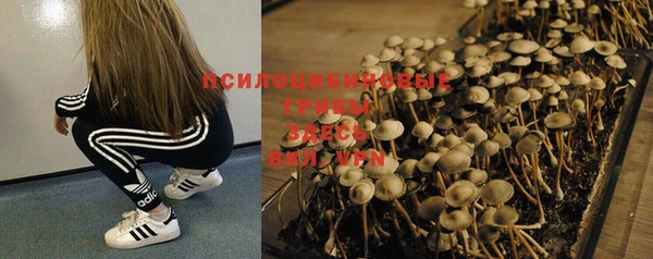 круглые Карталы