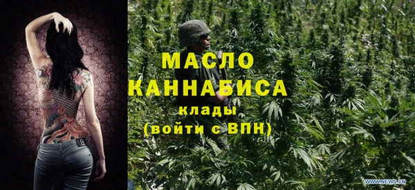 гидра Каменка