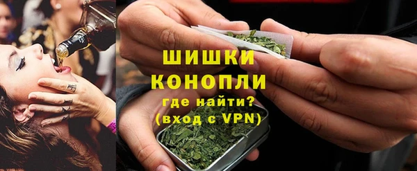 прущие грибы Касимов