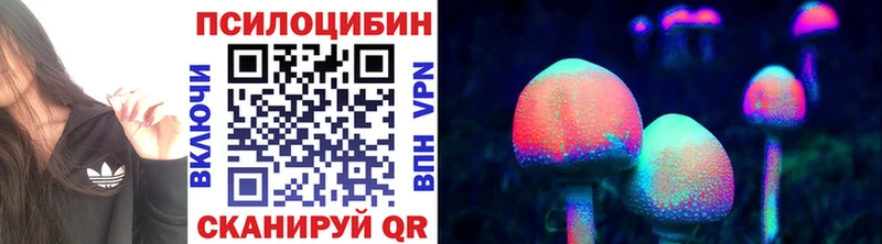 Псилоцибиновые грибы GOLDEN TEACHER  Купить где  Барнаул 